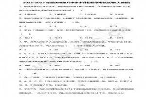 2022-2023年重庆市第八中学小升初数学考试试卷真题及答案(人教版)