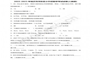 2022-2023年临沂市河东区小升初数学考试试卷真题及答案(人教版)