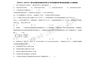 2022-2023年许昌市禹州市小升初数学考试试卷真题及答案(人教版)