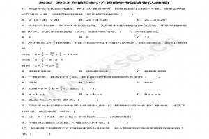 2022-2023年信阳市小升初数学考试试卷真题及答案(人教版)