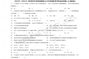 2022-2023年四平市铁西区小升初数学考试试卷真题及答案(人教版)