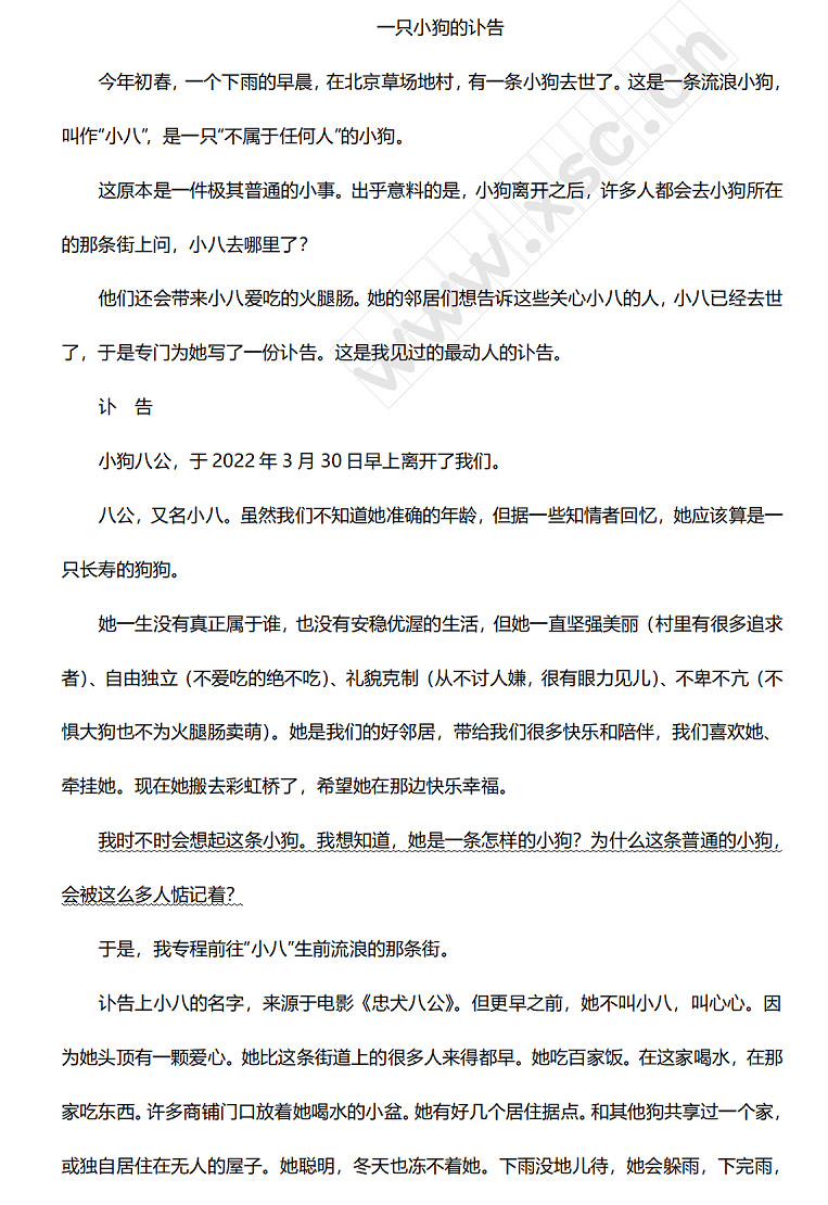 一只小狗的讣告 (1).jpg