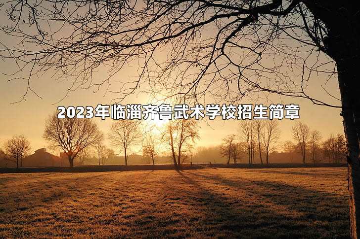 2023年临淄齐鲁武术学校招生简章及收费标准.jpg