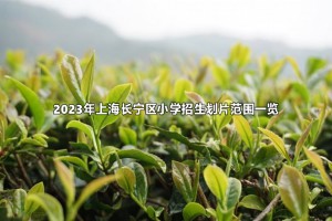 2023年上海长宁区小学招生划片范围一览