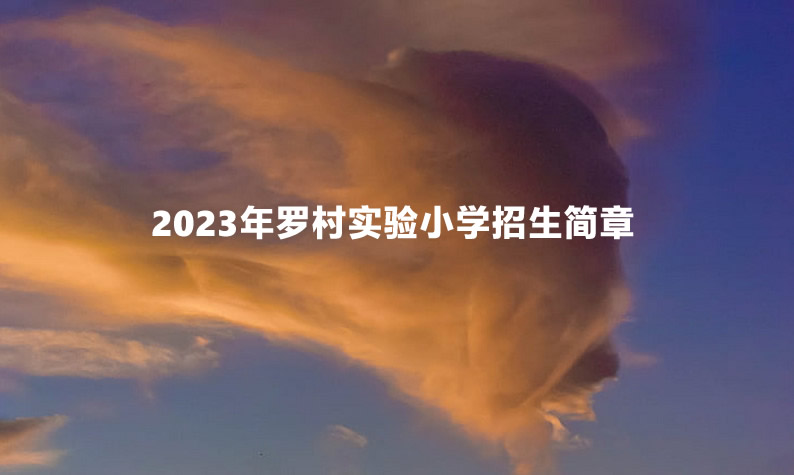 2023年罗村实验小学招生简章.jpg