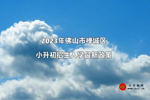 2023年佛山市禅城区小升初招生入学最新政策