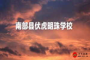 南部县伏虎明珠学校收费标准(学费)及学校简介