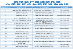 2023年成都武侯区小学招生入学办理时间及流程(附登记地点)