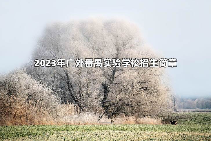 2023年广外番禺实验学校招生简章.jpg