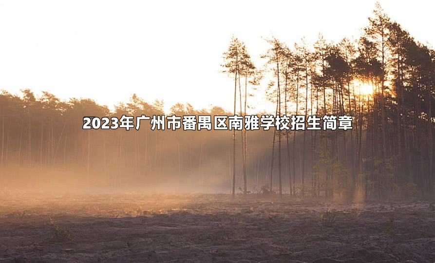 2023年广州市番禺区南雅学校招生简章.jpg