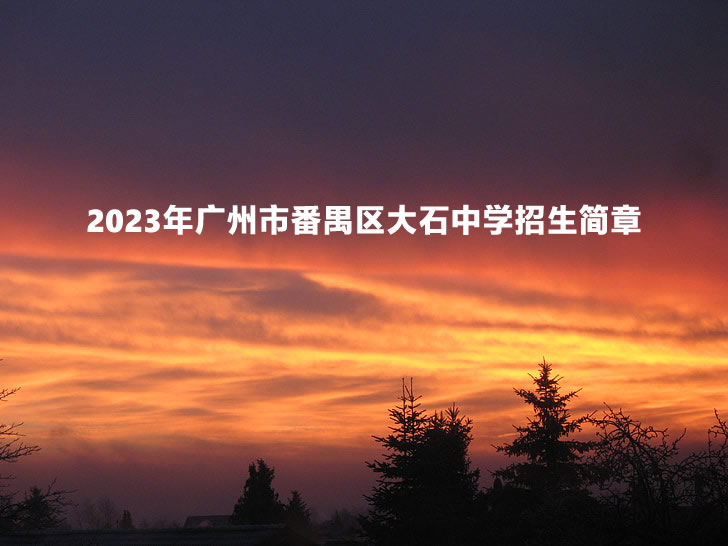 2023年广州市番禺区大石中学招生简章.jpg