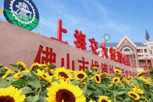 佛山市惟德外国语实验学校收费标准(学费)及学校简介