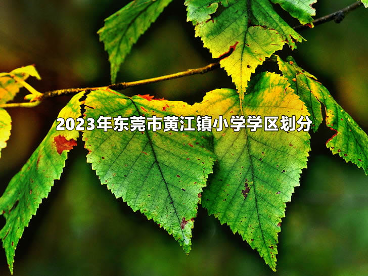 2023年东莞市黄江镇小学学区划分.jpg