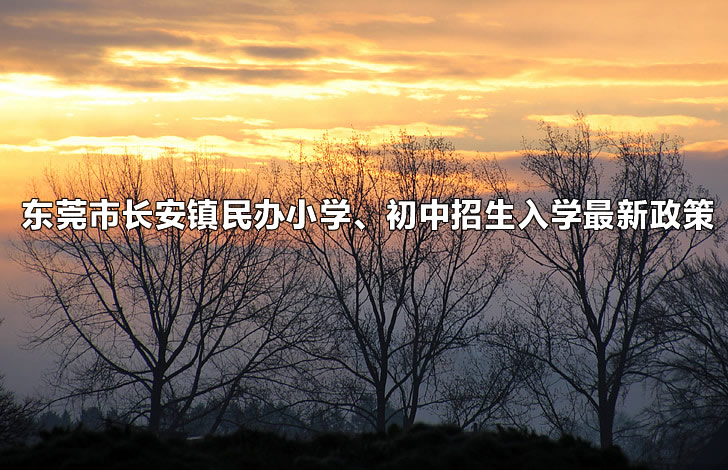 2023年东莞市长安镇民办小学、初中招生入学最新政策.jpg