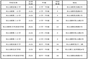 2023年东莞市松山湖积分制入学学位供给情况及录取安排原则