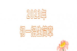 2023年南京实验国际学校招生简章及收费标准(初中部)