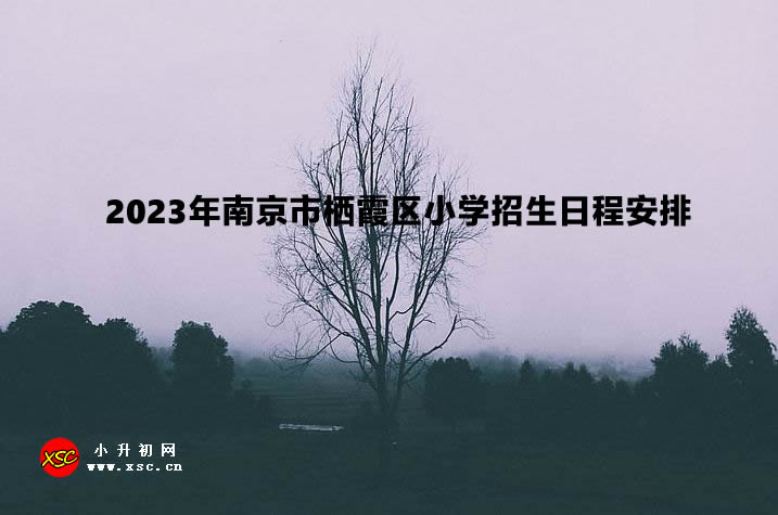 2023年南京市栖霞区小学招生日程安排.jpg