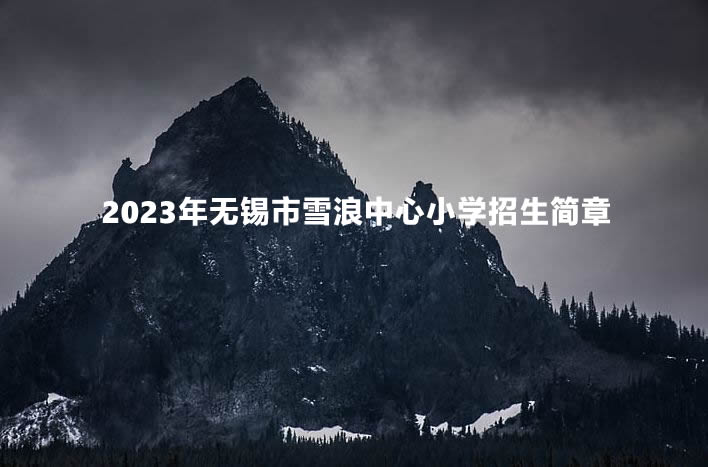 2023年无锡市雪浪中心小学招生简章.jpg