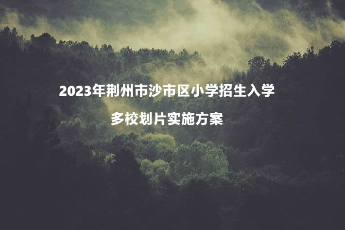 2023年荆州市沙市区小学招生入学多校划片实施方案.jpg