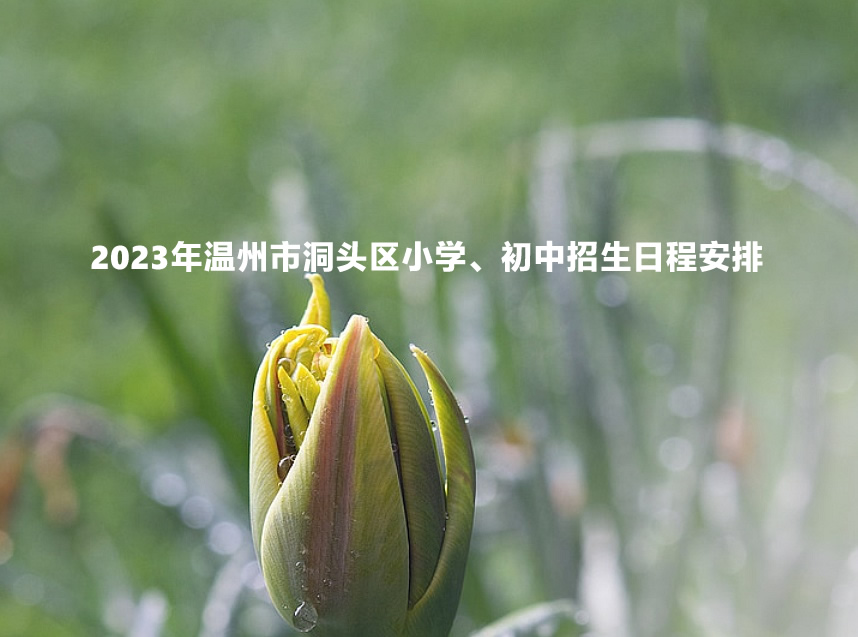 2023年温州市洞头区小学、初中招生日程安排(含流程).jpg