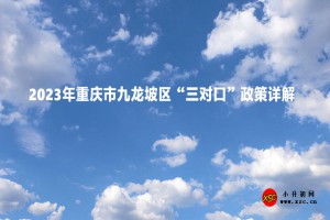 2023年重庆市九龙坡区“三对口”政策详解