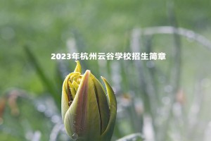 2023年杭州云谷学校招生简章及收费标准(小学部、初中部)