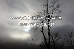 2023年吴忠市红寺堡区小学招生服务片区划分范围一览