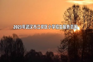 2023年武汉市江岸区小学招生服务范围(划片范围)一览