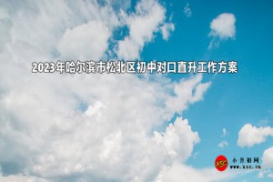 2023年哈尔滨市松北区初中对口直升工作方案(初中对口小学)