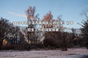 2023年哈尔滨市南岗区公办小学、初中招生工作时间安排表(含流程)