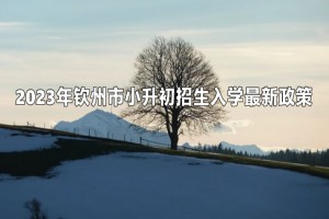 2023年钦州市小升初招生入学最新政策