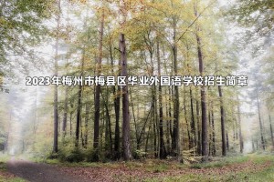 2023年梅州市梅县区华业外国语学校招生简章及收费标准(小学、初中)