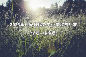 2023年东安县民办中小学收费标准(学费+住宿费)一览