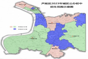 2023年株洲市芦淞区公办初中招生划片范围一览