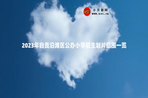 2023年自贡沿滩区公办小学招生划片范围一览