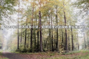 2023年合肥市民办小学、初中招生计划及收费标准汇总