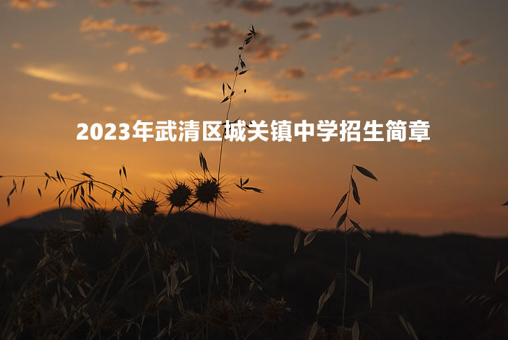 2023年武清区城关镇中学招生简章.jpg