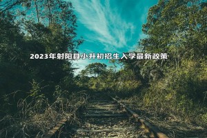 2023年射阳县小升初招生入学最新政策(附施教区范围)