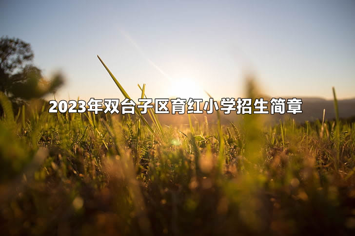 2023年双台子区育红小学招生简章.jpg