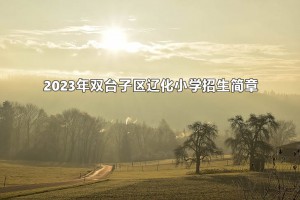 2023年双台子区辽化小学招生简章(附招生范围)