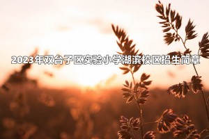 2023年双台子区实验小学湖滨校区招生简章(附招生范围)