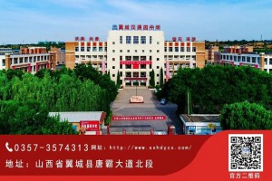 2023年翼城县汉德园中学中考成绩升学率(中考喜报)