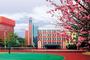 新都区正德小学收费标准(学费)及学校简介