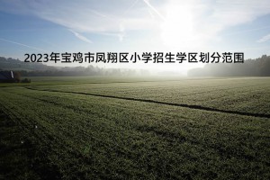 2023年宝鸡市凤翔区小学招生学区划分范围一览