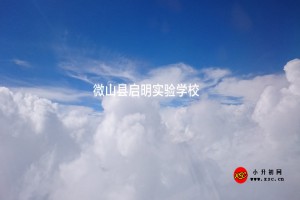 微山县启明实验学校收费标准(学费)及学校简介