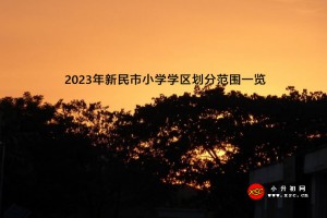 2023年新民市小学学区划分范围一览