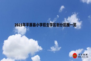 2023年平原县小学招生学区划分范围一览