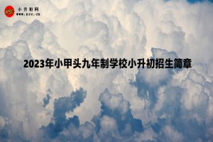 2023年临县小甲头九年制学校小升初招生简章