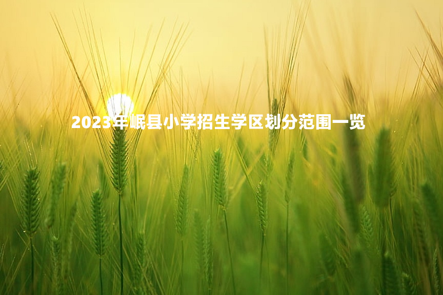 2023年岷县小学招生学区划分范围一览.jpg