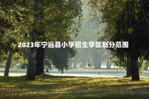 2023年宁远县小学招生学区划分范围一览